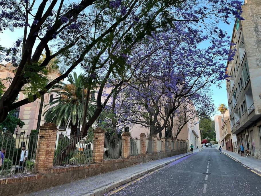Apartamento Amar-Cura Malaga Zewnętrze zdjęcie