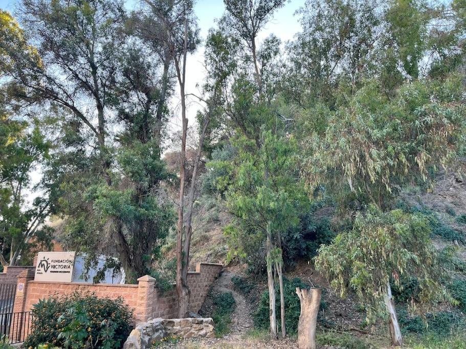 Apartamento Amar-Cura Malaga Zewnętrze zdjęcie